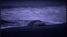 Lucky Hank - Season 01 Episode 06